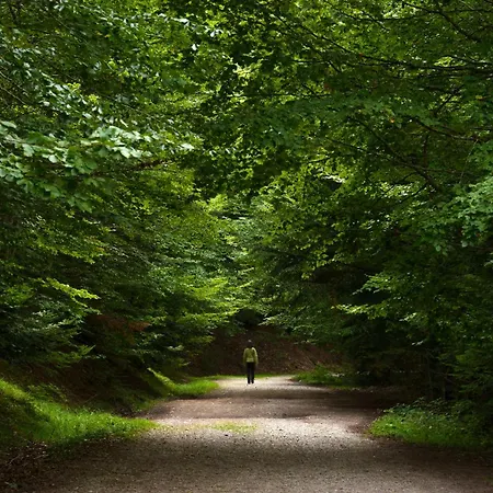 Atico Mendia By Bevalle Apartament *