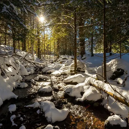 Apartament Atico Mendia By Bevalle Panticosa