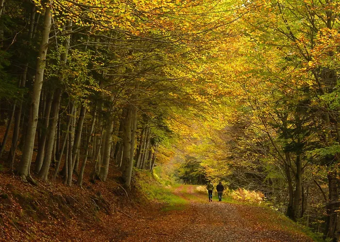 Atico Mendia By Bevalle Apartament Panticosa