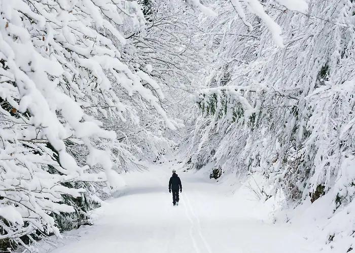 Atico Mendia By Bevalle * Panticosa